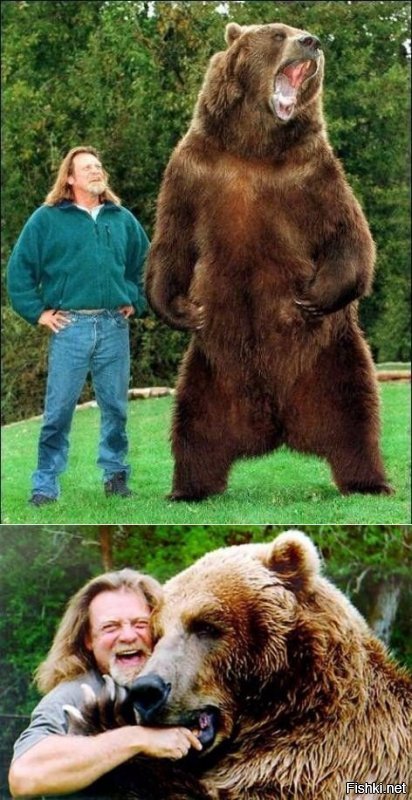 На фото - медведь Барт со своим хозяином. Снялся в 16 фильмах. Умер в 2000 году.