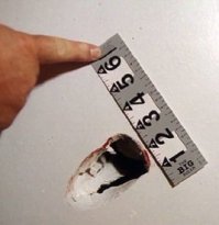 Фотографии, сделанные на месте преступления.

1 фото: гостиная первого этажа, у окна можно видеть тело Султаны Рефэй, вдоль стен - коробки с неразобранными вещами. 

2 фото: след кончика бейсбольной биты, оставленный в гипсокартонной стене при энергичном замахе. Убийца в двух местах повредил стены подобным образом. 

3 фото: малая гостиная первого этажа. На телевизоре находился видеомагнитофон, который убийца унёс с собою. Чтобы отключить видеомагнитофон, преступник развернул телевизор экраном к стенному шкафу.