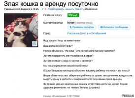 Прикольные и смешные картинки