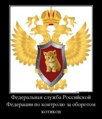 Штаб квартира дворовых котов:)