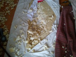 Провинившиеся друзья наши меньшие 
