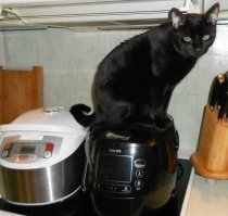 Наш сам себе жрать готовит