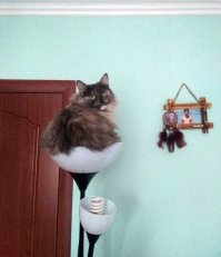 Звали?