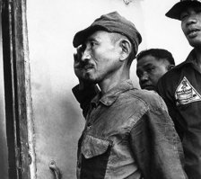 Воевал в джунглях 30 лет, не зная, что война давно закончена
5 марта 1974 года мир потрясла сенсационная новость: на филиппинском островке Лубанг полиции сдался 52-летний японский офицер, скрывавшийся в лесу с конца 1944-го!

Подробности здесь...