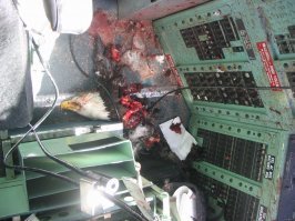 Да...это сильно. Но, тут, видимо, дерево к дереву...
Но животину жальче: