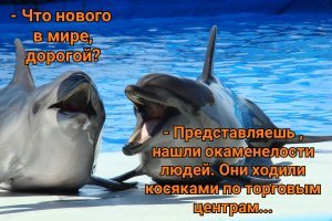 Может и нас найдут, когда нибудь...