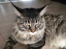 Это незаконно!!!!