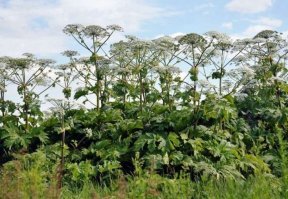 Он ждёт тебя:-)