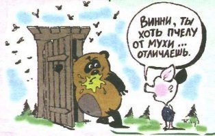 Почему мухи потирают лапки друг о друга?