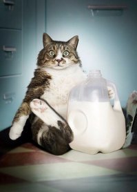 Да они охренели просто.