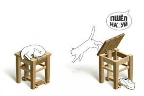  Сладкое пробуждение кошки с "пробуксовкой"