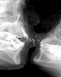 30 разрезанных пополам вещей, в которых есть на что посмотреть