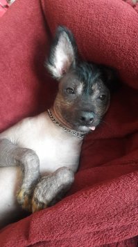 Прикольные и смешные картинки