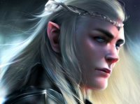 Му-ха-ха, кошки-эльфы порадовали  
Эльф:

Кошка-эльф: