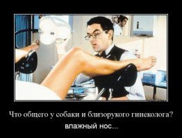 Ой! А там так интересно! А можно мы все по очереди посмотрим?