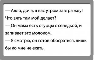 Прикольные и смешные картинки