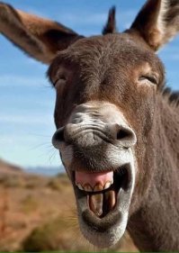 Родимое пятно девяностых. Почему полковники ФСБ считают деньги грузовиками?