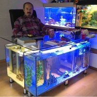 Скринсэйвер классный! А клавиатура где?