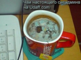 Пользователи сети поделились фото своего самого ужасного офисного обеда