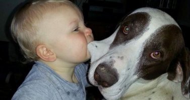 Говорил я тебе хозяин -"давай лучше кота заведём!!!!"