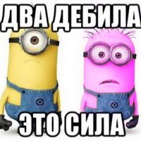 Одержимая розовым цветом американка нашла себе помешанную на желтом подругу