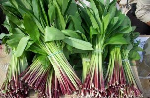 На черешню ровно, а вот этой штуки я нынче переел.