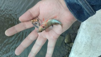 Ха ! Удивил... 
Во !!!