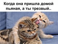 Картинки с надписями