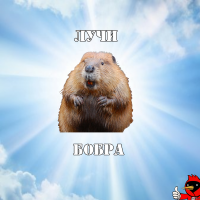 Спасибо.
Погрейся в лучах боброты.