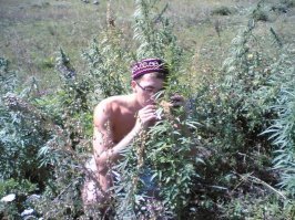 Картинки с надписями