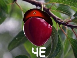 "Хочу черешню": что это за мем и почему все помешались на этой ягоде