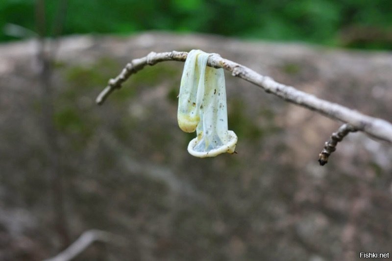 гораздо хуже когда соседи любят <span style='color:gray'>[мат]</span>