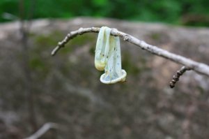 гораздо хуже когда соседи любят <span style='color:gray'>[мат]</span>