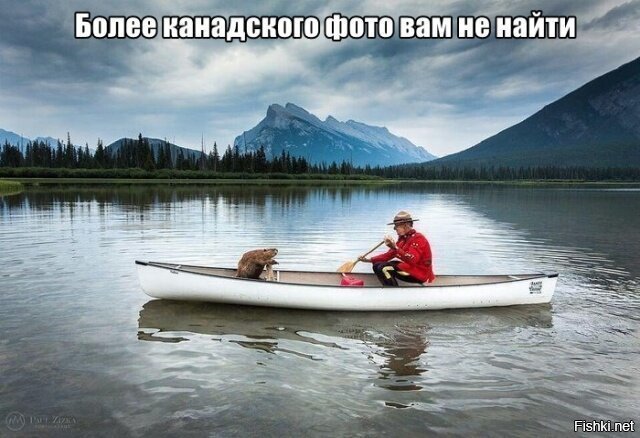 Нашёл!