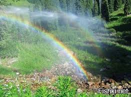 Особенно приятно ходить в булошную когда идёт летний майский дощь.......