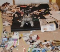 Конечно не поверит,потому что курсовые "проверяют" как правило собаки.