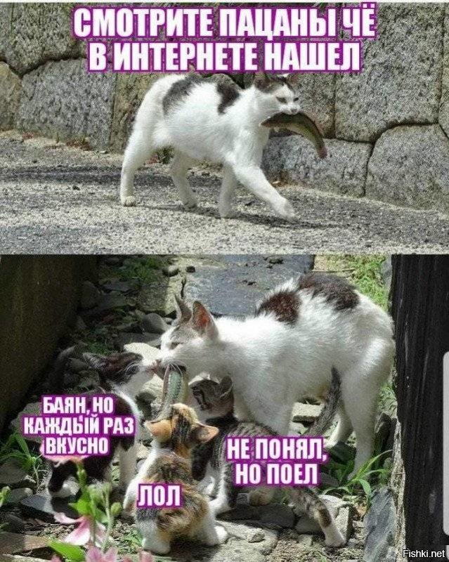 Гифки дня