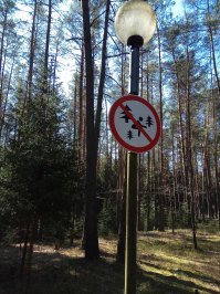 Стыдно, страшно и смешно: 20+ неоднозначных фотографий с просторов России