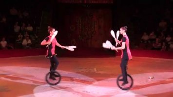 Когда вижу таких участников дорожного движения, представляю себе это: