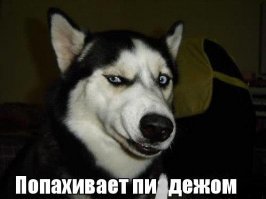 Tesla с пробегом 725 000 километров: срок службы батареи, надежность и многое другое