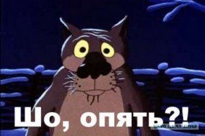 Дизайнер делает игрушечных животных и устраивает им фотосессию