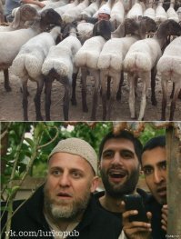  Душевная вечеринка с диджеем "ОМОН" за пультом