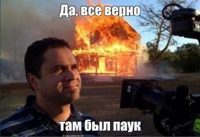 20 ужасов природы, с которыми мало кто пожелал бы встретиться