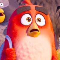 Катапульта для "оккупировавших" сад белок