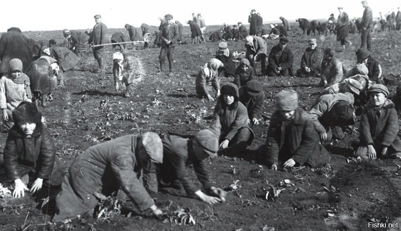 Квартира - понятно, машина, холодильник, телевизор, телефон... Еда в кредит.
А я знаю что произойдет дальше, ведь история циклична...
В 1932-м крестьянину выдавали кредит весной для посадки злаков и прочих овощей. А осенью ничего не выросло, но кредит пришлось отдать.