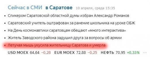 Ну, раз попало в новости, то наверное прививку от бешенства сделать успели. Многие забывают что бешенство и у летучих мышей попадается.