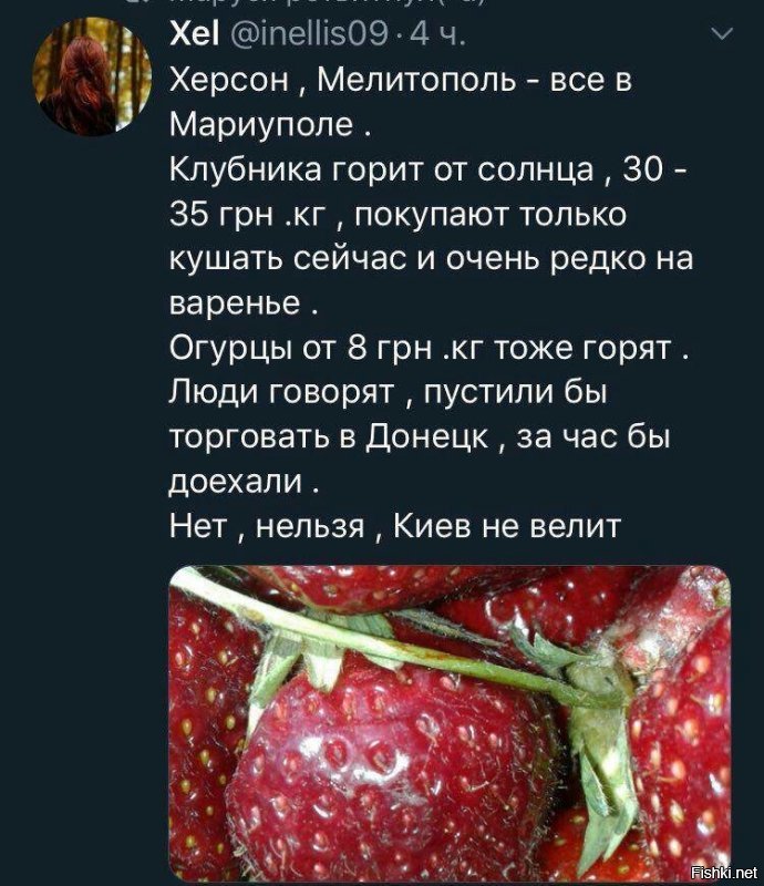 Политические картинки