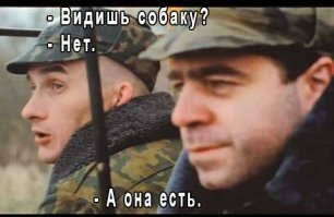 == Подборка интересных и веселых картинок с собаками для утреннего настроения. ==