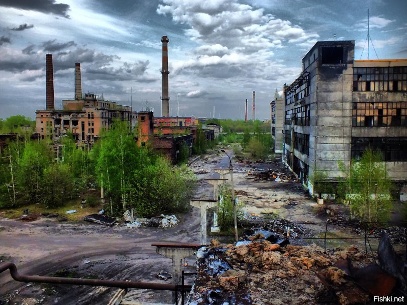 Папа Римский решил переписать "Отче Наш", возложив ответственность за грехи на Сатану