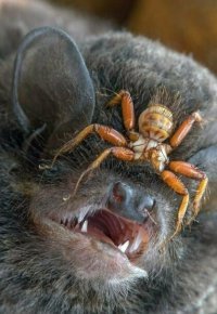 Не видно же куда лететь.